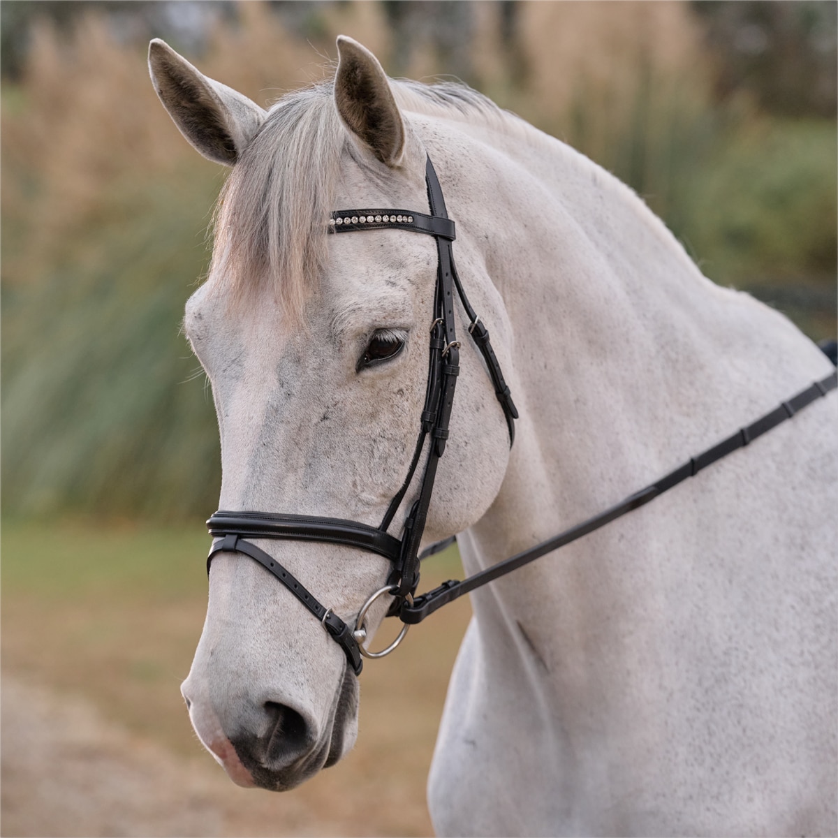 Horse Pony leather show bridle anatomical with quality grip reins 