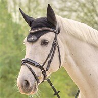 Harwich&reg; Contoured Patent Leather Bridle with Easy Change Browband