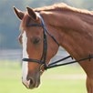 Plymouth&reg; Dressage Bridle without Flash - Black