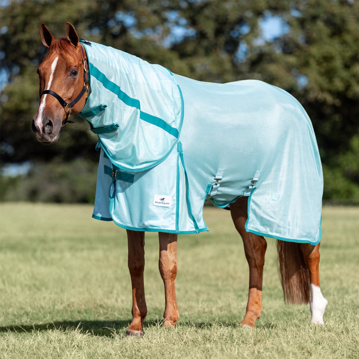 Smartpak Classic Fly Sheet 84 Neuf Argent Chevaux d'été