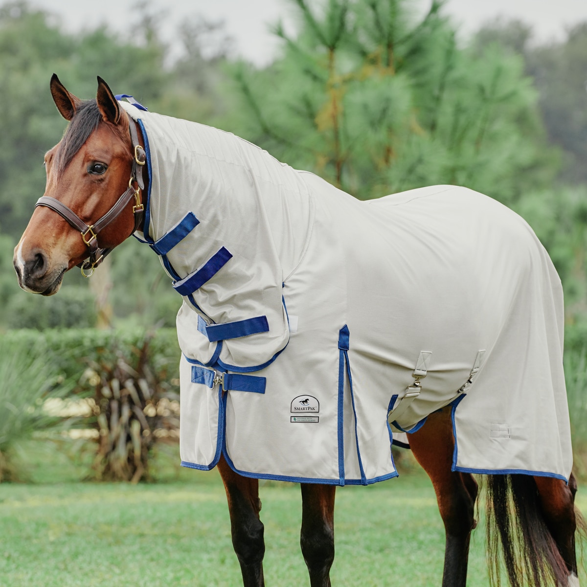 Horse All In One Fly Bug Rug/Sheet Combo Full Neck Insect Protection FREE MASK 