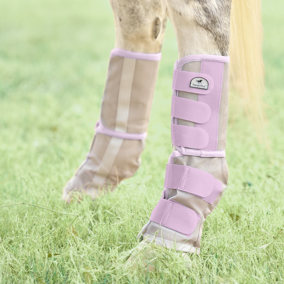 Fly Boots - SmartPak Equine