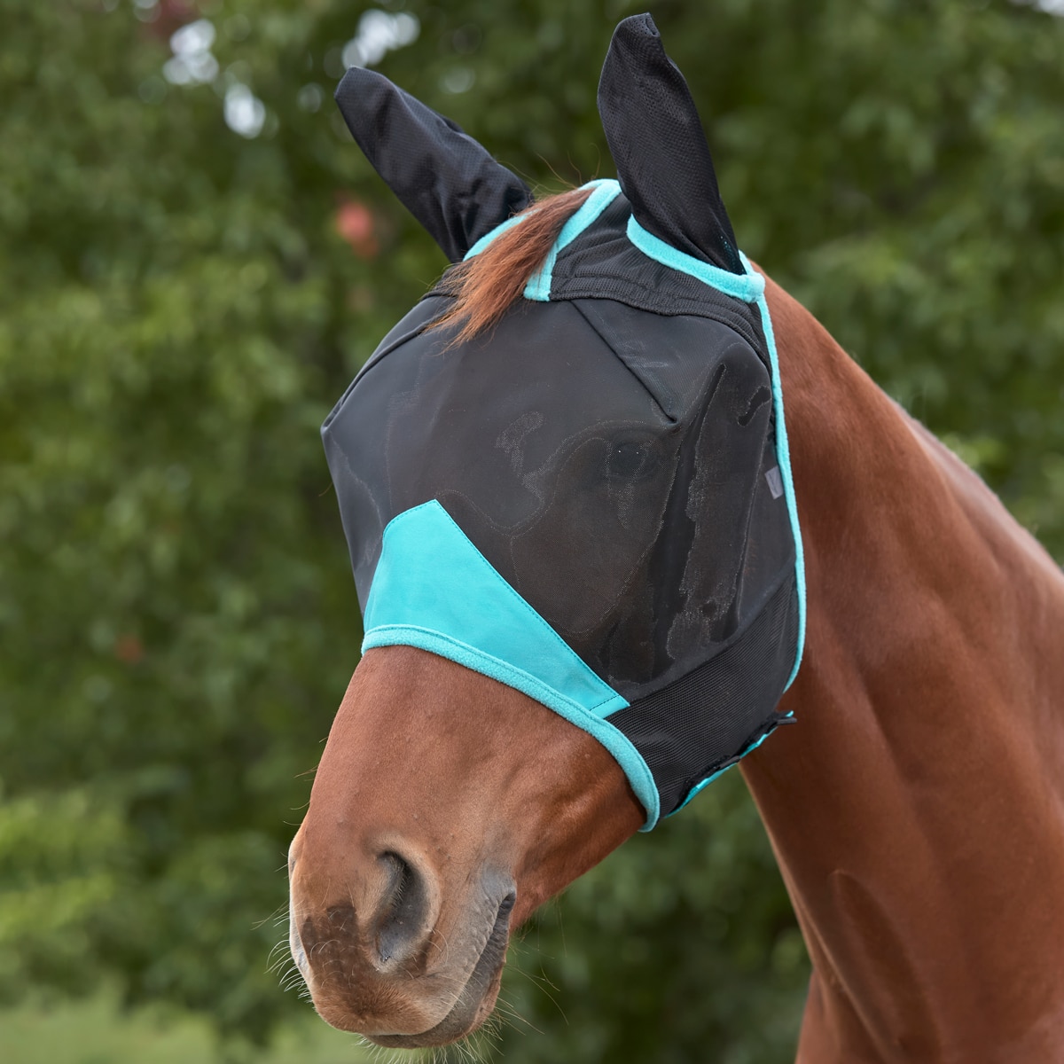 Weatherbeeta Comfitec Fine Mesh With Nose Unisex Horse Healthcare Fly Mask 