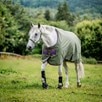 Amigo&reg; Hero 600D Ripstop Plus Turnout Sheet - Bramble w/ Winterberry & Taupe Trim