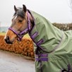 Amigo&reg; Hero 600D Ripstop Plus Turnout Sheet - Bramble w/ Winterberry & Taupe Trim