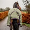 Amigo&reg; Hero 600D Ripstop Plus Turnout Sheet - Bramble w/ Winterberry & Taupe Trim