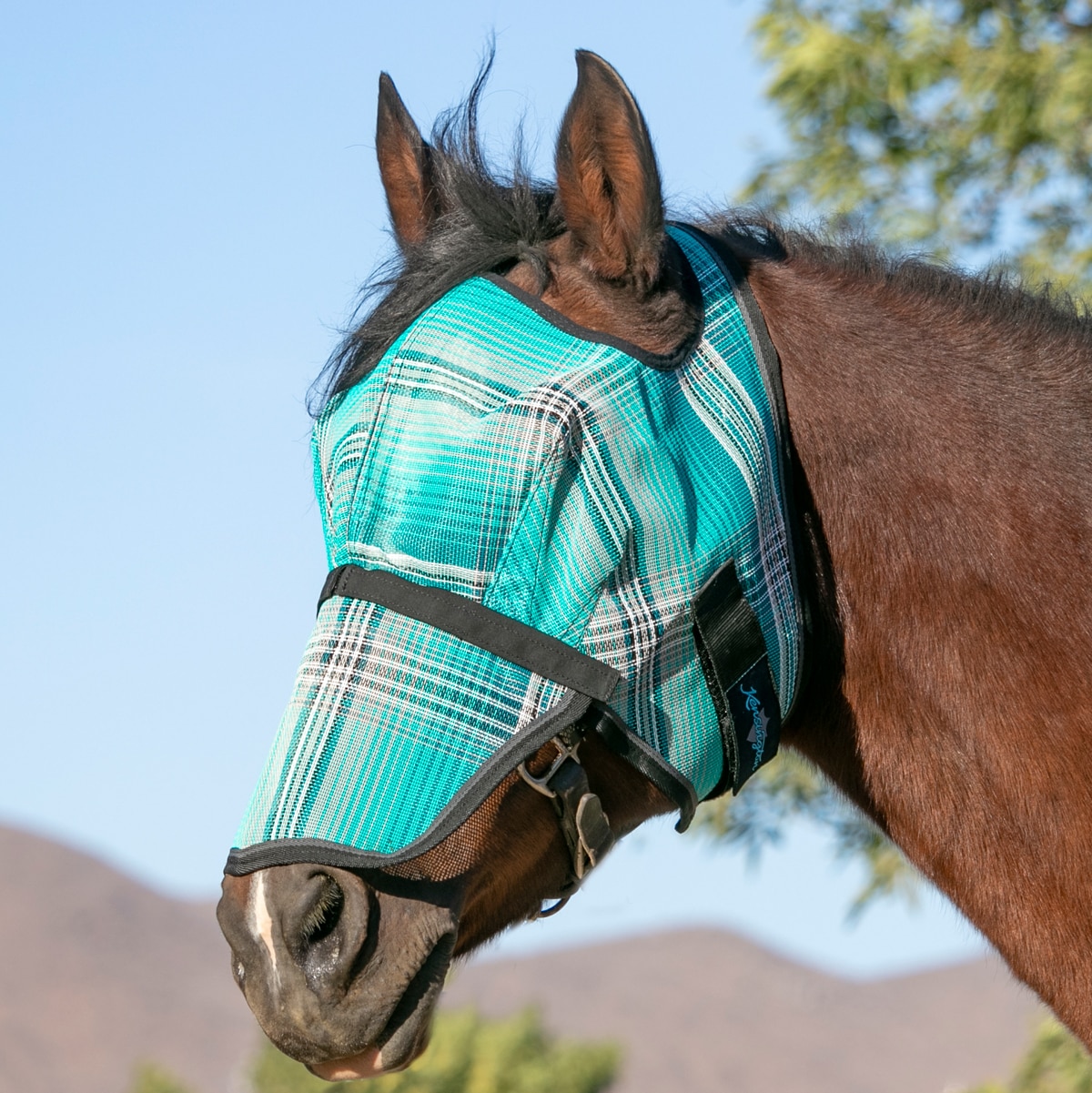 Kensington Signature Fly Mask with Removable Nose — Protects Horses Face and Nose from Biting Insects and UV Rays While Allowing Full Visibility — Ears and Forelock Able to Come Through The Mask 