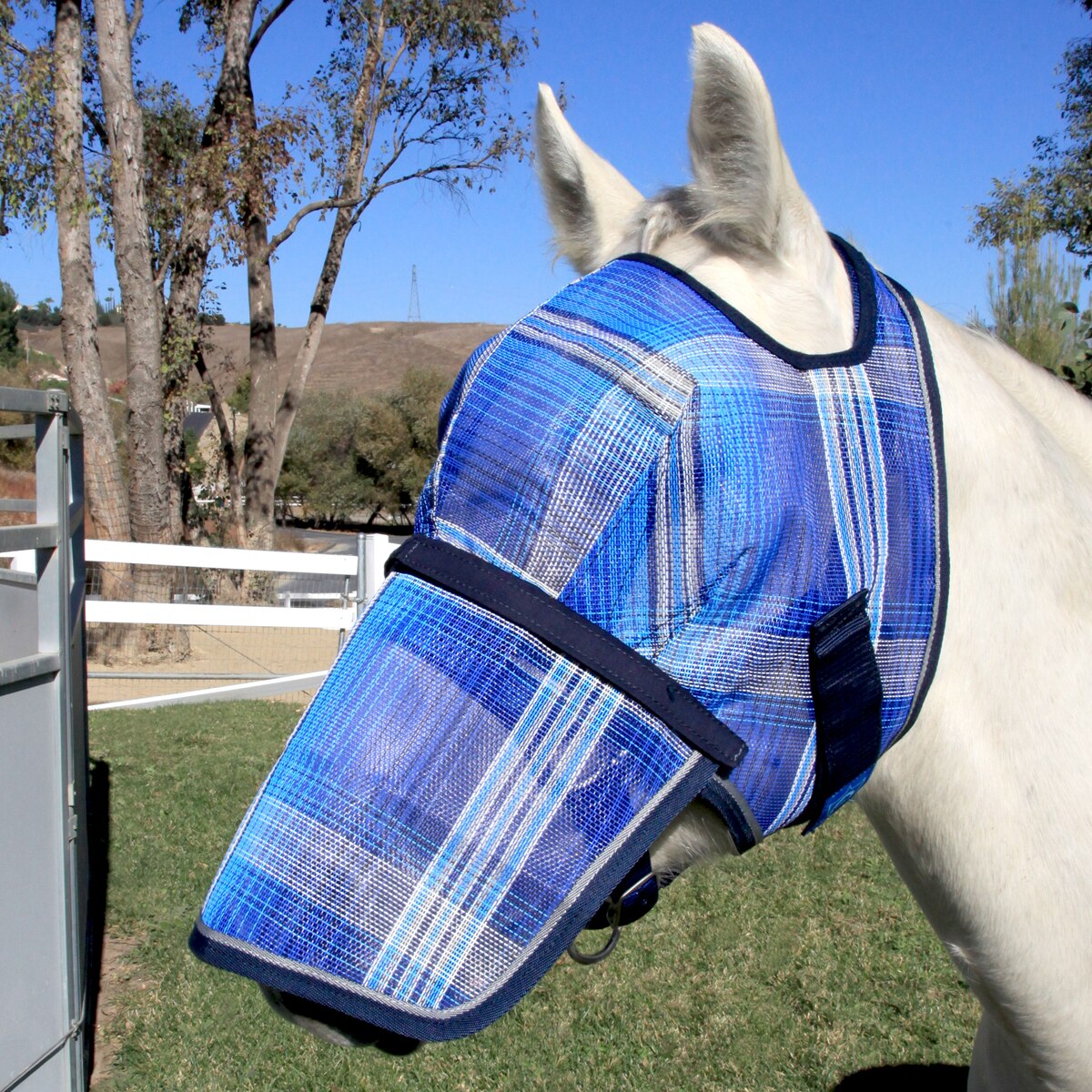 Kensington Signature Fly Mask with Removable Nose and Soft Mesh Ears — Protects Horses Face Nose and Ears From Biting Insects and UV Rays While Allowing Full Visibility 