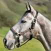 Kensington Premium Nylon Halter - 
