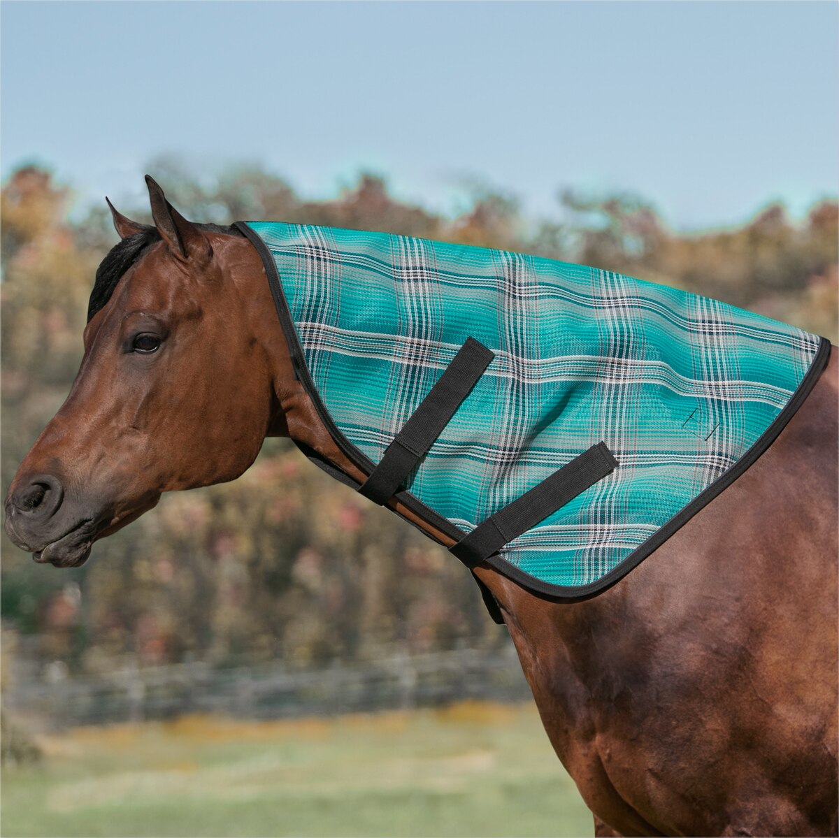 Kensington SureFit Protective Pony Sheet, Deluxe Black, 57 In