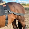 Equicore Complete Equiband&reg; Pro System - 