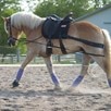 Equicore Complete Equiband&reg; Pro System - 