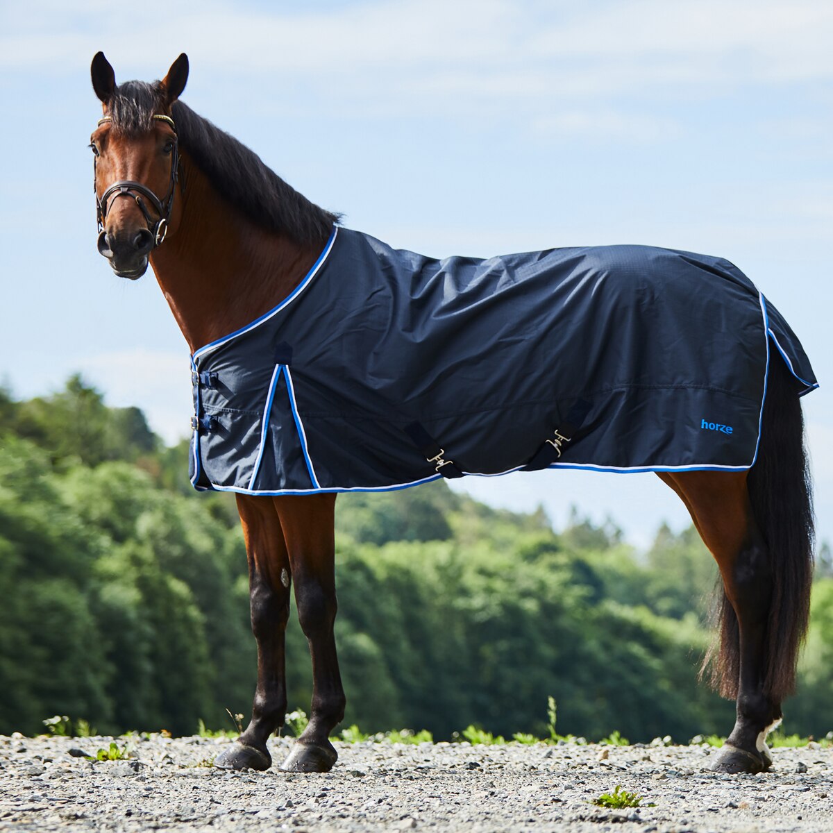 Horze Glasgow Turnout Blanket, How To Stop Static In Horse Rugs