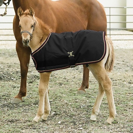 Kensington Signature Collection 1200D Foal Turnout