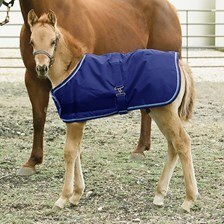 Kensington Signature Collection 1200D Foal Turnout Blanket