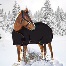Kensington Signature Collection 1200D Weanling/Yearling Turnout Blanket