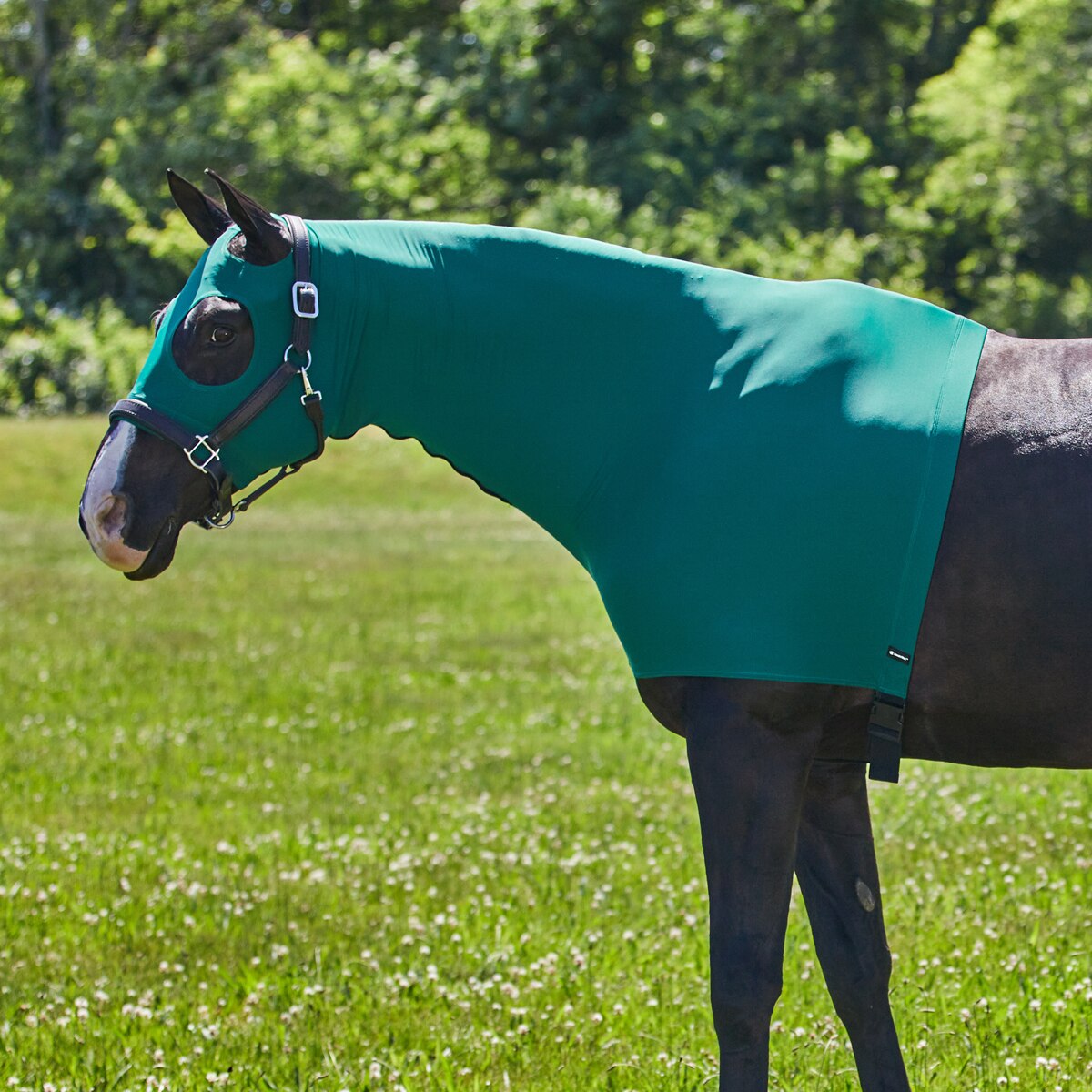 Capuchon Pour Cheval Stretch Spandex - Vert, Taille Small (300-600 Lbs), Avec Zip, Neuf