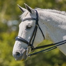 Harwich® Crystal Double Bridle by SmartPak