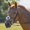 Harwich&reg; Ergonomic Figure 8 Bridle by SmartPak - Walnut