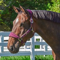 SmartPak Luxe Quilted Halter - Satin Collection - Clearance!