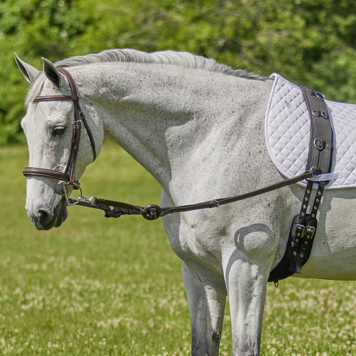 SmartPak Leather Side Reins with Donut II