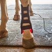 Equine Light Therapy Medium Light Therapy Pad - 