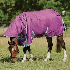 WeatherBeeta ComFiTec Premier Freedom Pony Detach-A-Neck Turnout Blanket