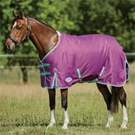 WeatherBeeta ComFiTec Premier Freedom Pony Standard Neck Turnout Blanket