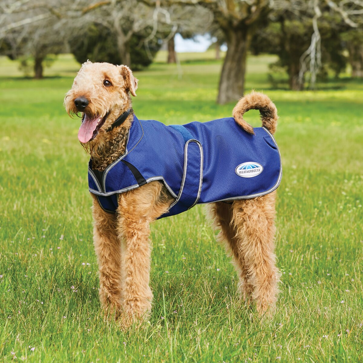 equi dog fleece