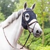 Fenwick Equestrian Liquid Titanium Mask - 