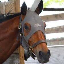 Fenwick Equestrian Liquid Titanium Mask
