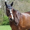 Fenwick Equestrian Liquid Titanium Ear Bonnet - Black