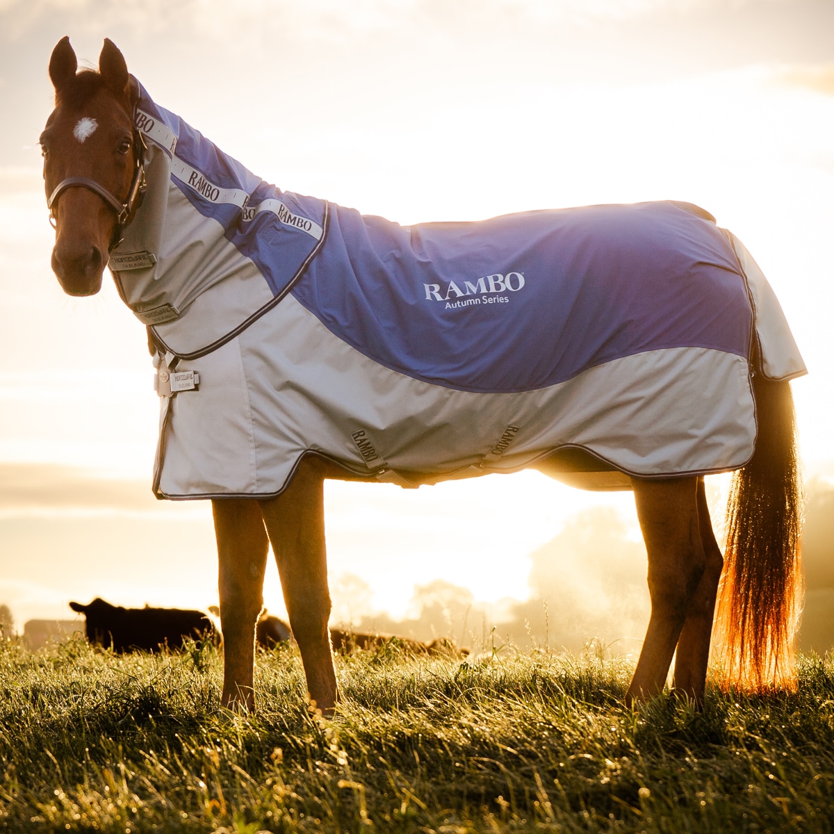 Rambo® Autumn Series Turnout