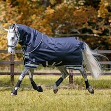 LeMieux Arika Storm-Tek Blanket