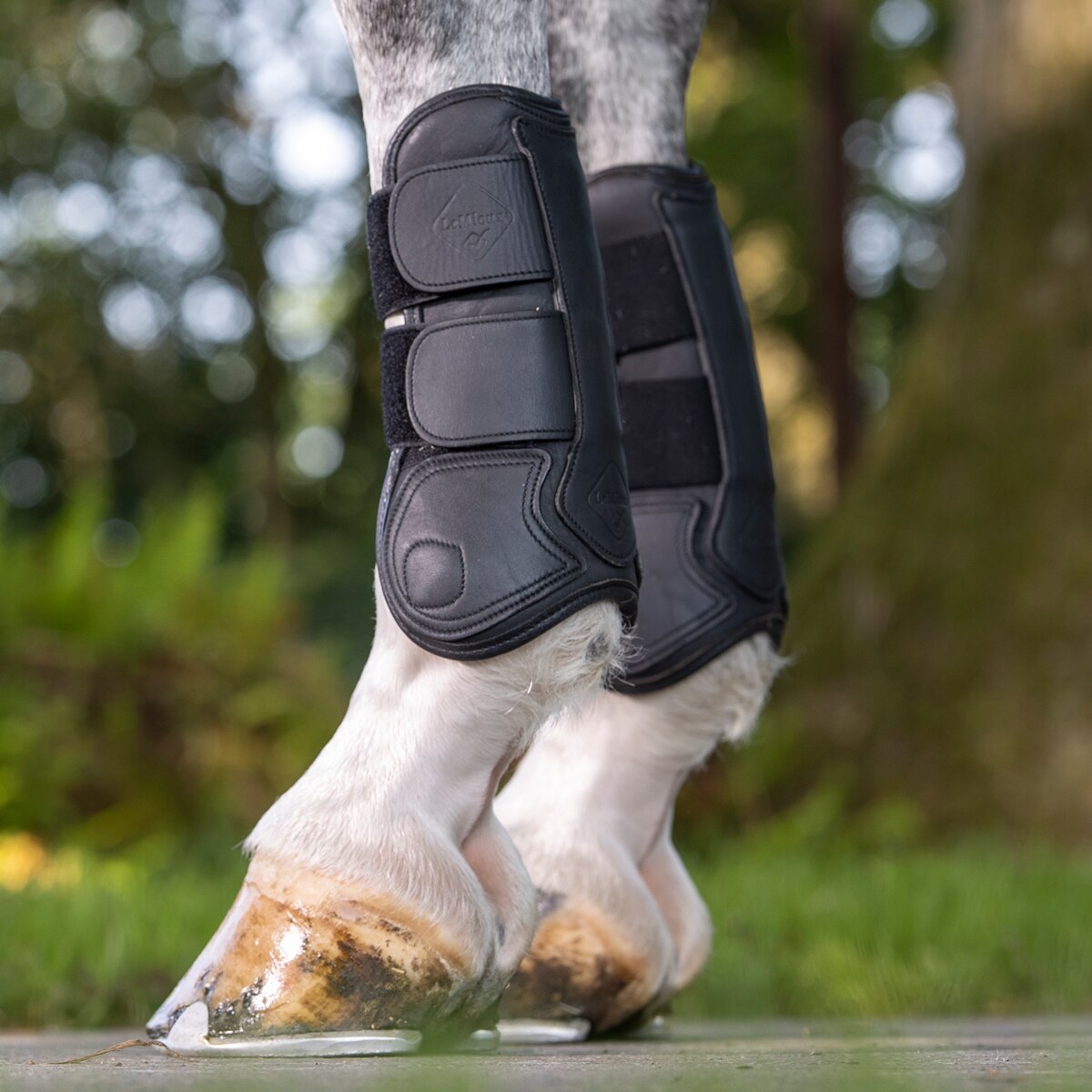 Leather hot sale tendon boots