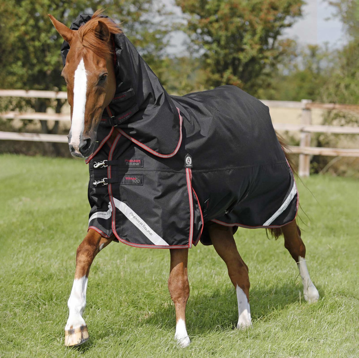 Schneiders Horse Turnout Blanket & Fly Sheet Padded Leg Strap