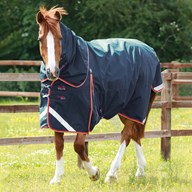 Premier Equine Buster Zero Turnout Sheet w/ Classic Neck Cover