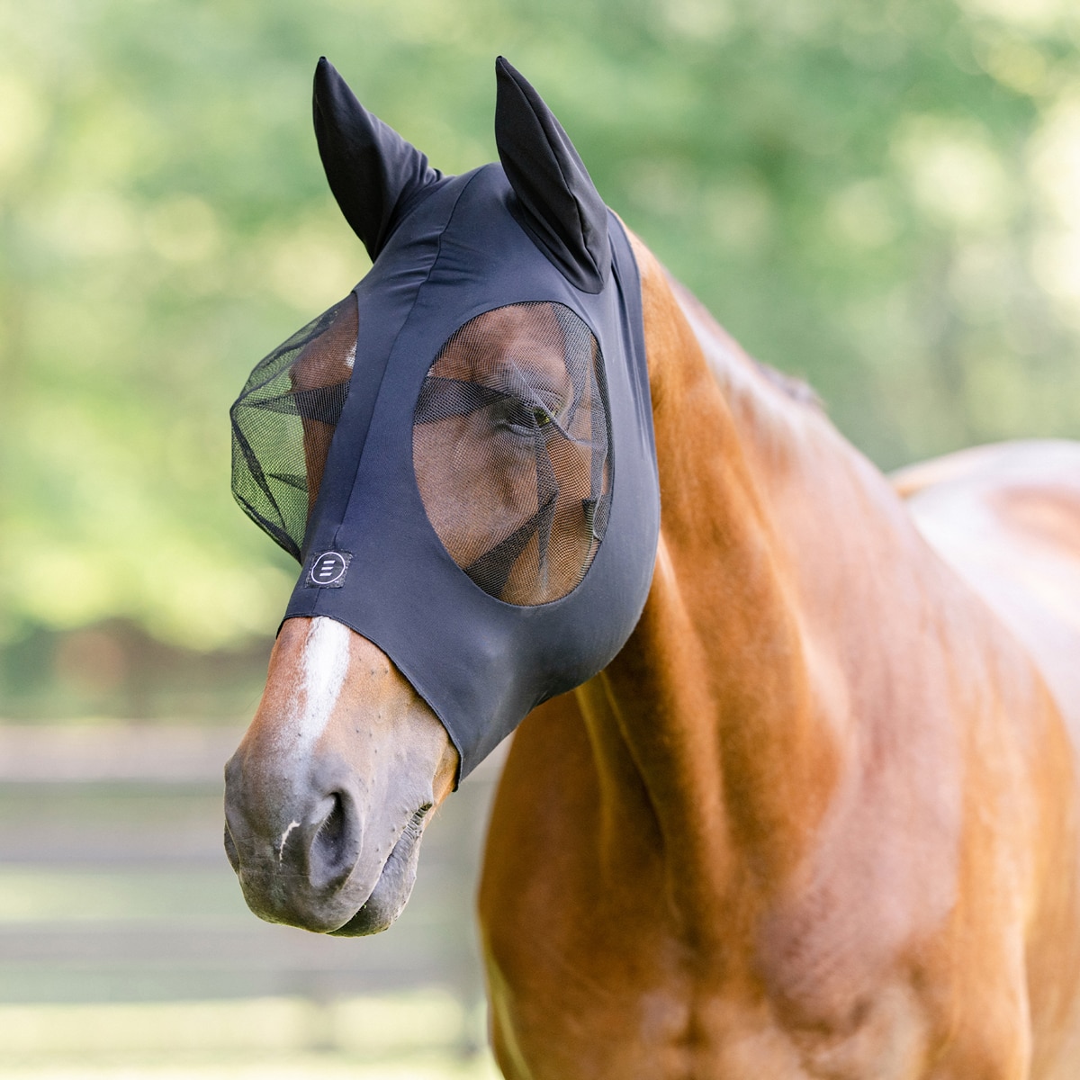 Nice Quality Cob/Arab Size Mesh Fly Mask Bonnet without Ears 