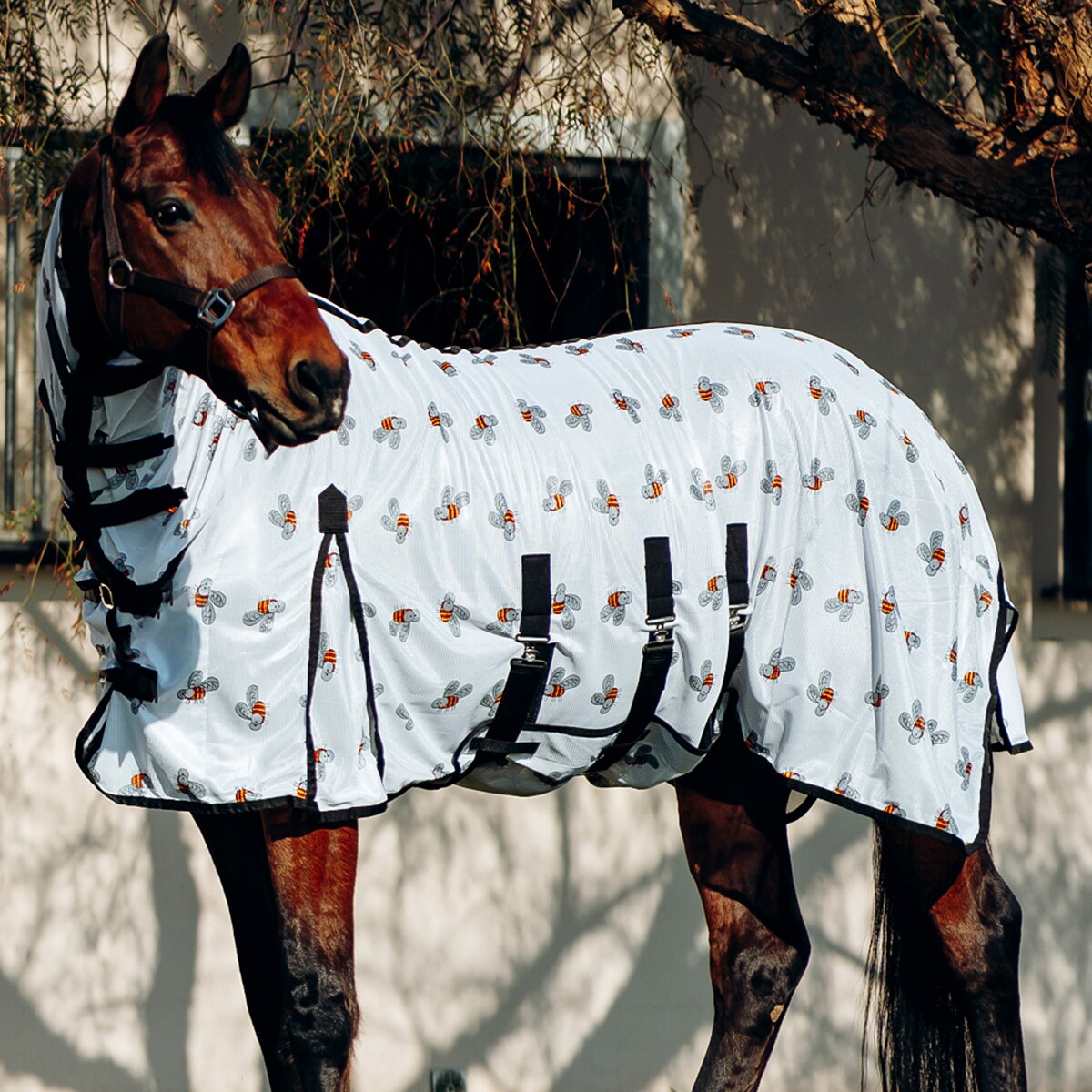 Horse Fly Rug All In One Belly And Tail Flap Elastic Neck All Sizes FREE MASK 