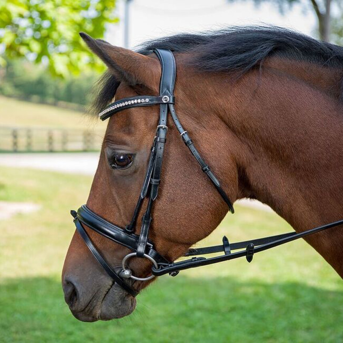 D.A Brand Black Extra Full Horse Bridle w/ Center Buckle Reins Horse Tack 
