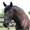 Henri de Rivel Pro Piaffe Mono Crown Padded Patent Leather Dressage Bridle - Havana