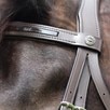 Henri de Rivel Pro Piaffe Mono Crown Padded Patent Leather Dressage Bridle - Havana