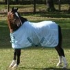 TuffRider Comfy Mesh Mini Fly Sheet - Porcelain Blue/Teal
