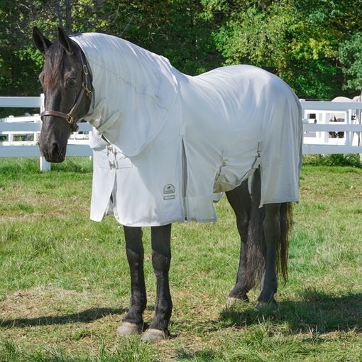SmartPak Deluxe Oversize Fly Sheet with Earth Frie