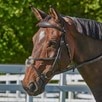 Nantucket Figure 8 Bridle by SmartPak - Espresso Brown w/ White Fancy Stitching