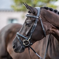 LeMieux Work Bridle