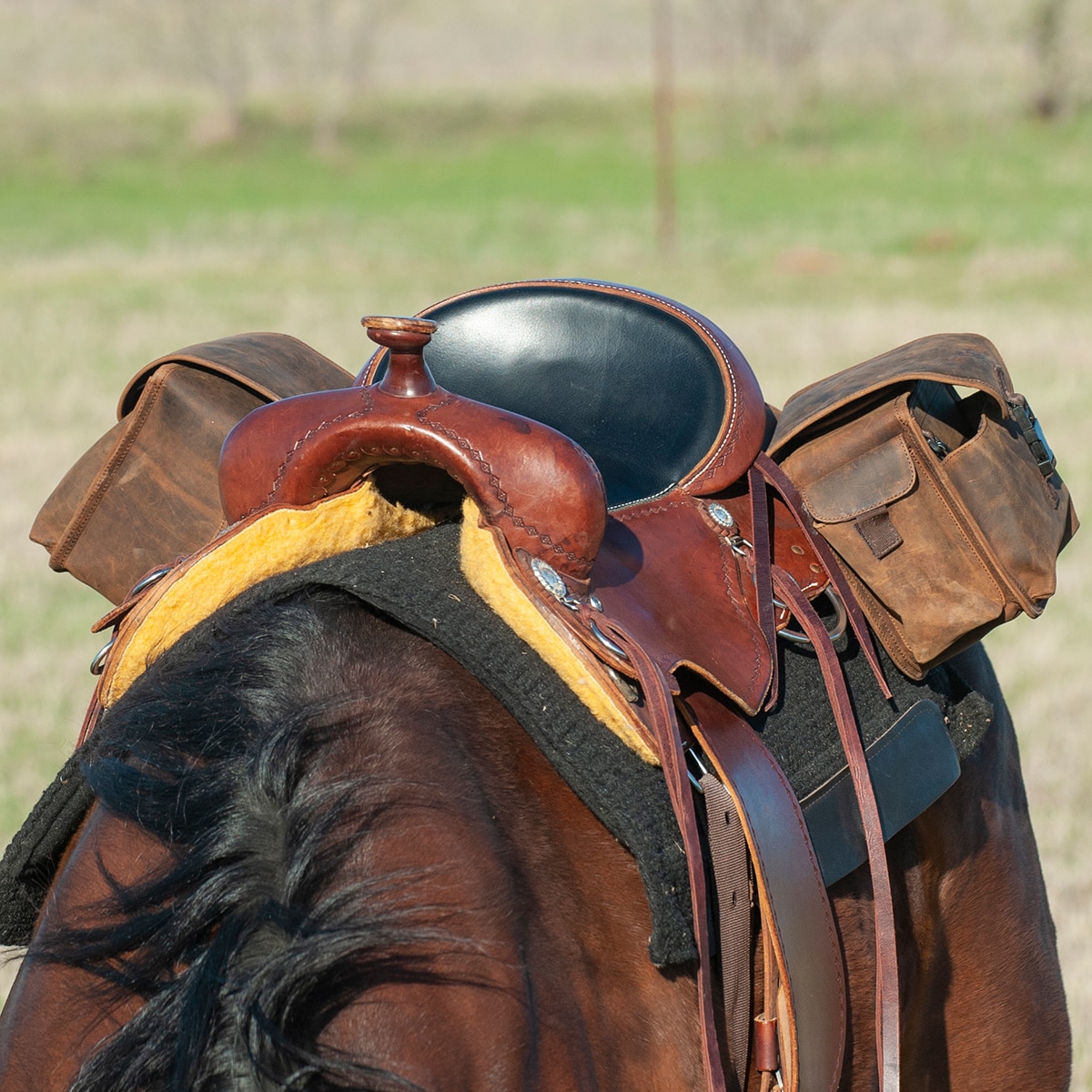 Cashel Rear Saddle Bag with Distressed Leather