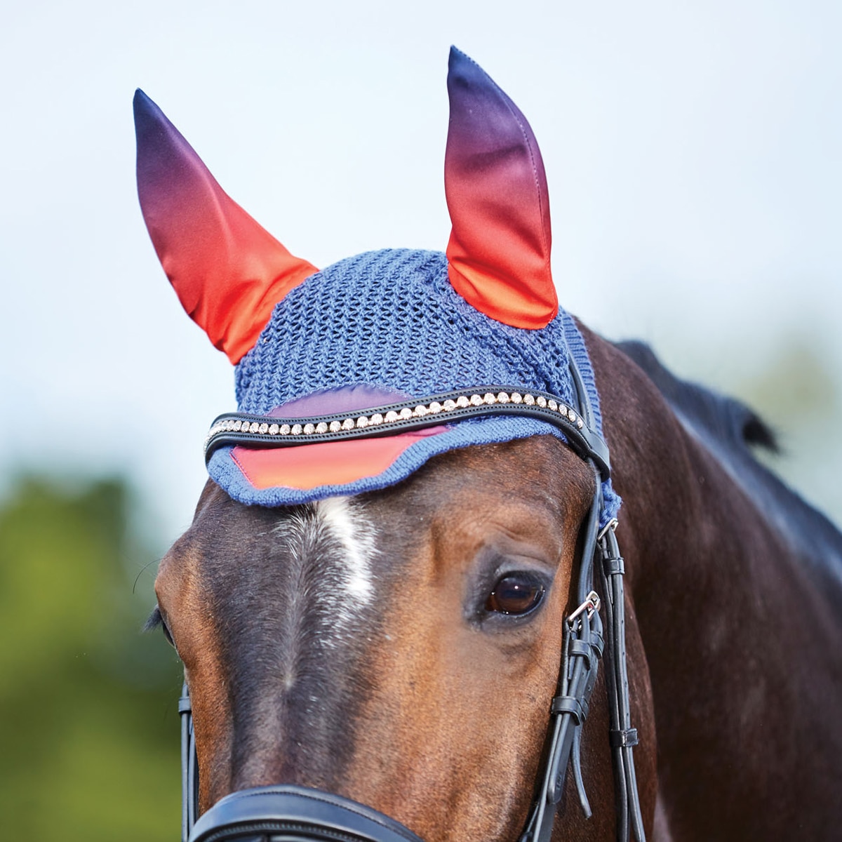 Weatherbeeta Prime OMBRE Dressage Saddle Pad Cloth Matchy Matchy CLEARANCE  SALE