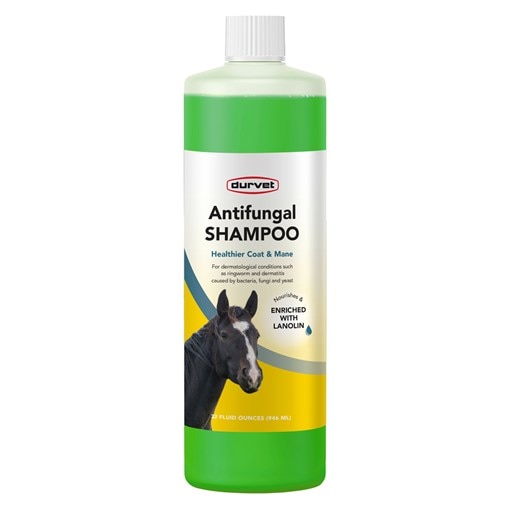 Durvet Antifungal Equine Shampoo