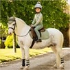 LeMieux Mini Base Layer - Clearance! - Fern